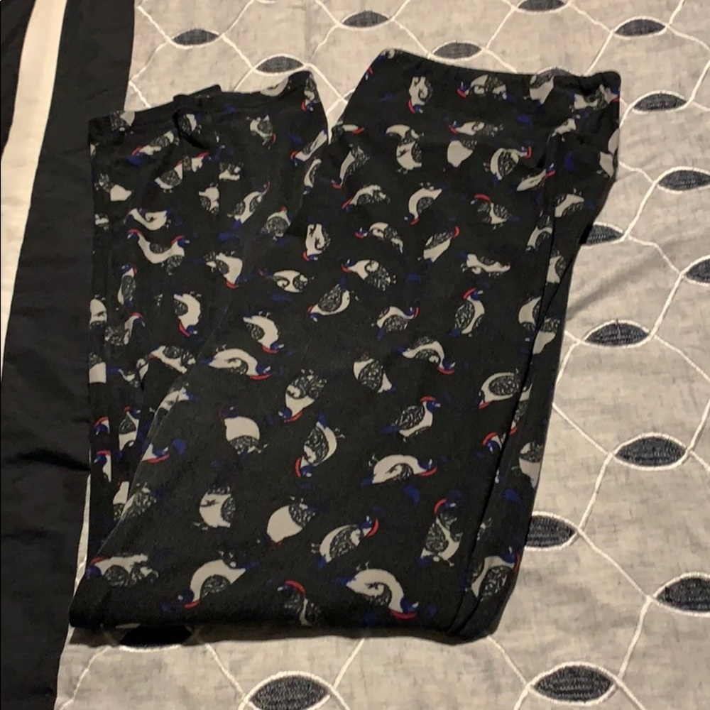 Quail bird leggings